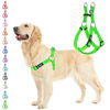 Picture of PUPTECK No Pull Dog Harness Soft Adjustable Basic Nylon Step in Puppy Vest Outdoor Walking with ID Tag, Green, XS