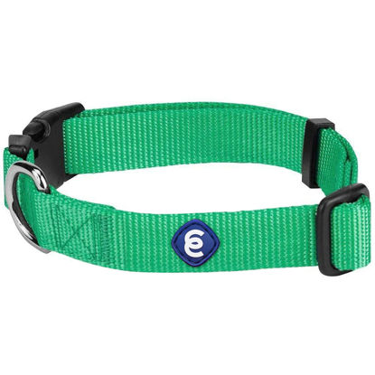 Picture of Blueberry Pet Essentials 21 Colors Classic Dog Collar, Emerald, Large, Neck 18"-26", Nylon Collars for Dogs