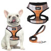 Picture of PUPTECK Soft Mesh Dog Harness and Leash Set Pet Puppy Cat Comfort Padded Vest No Pull Harnesses, Orange, L