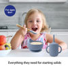 Picture of LITTLE RAWR Silicone Baby Feeding Set 14 Pcs,Baby Led Weaning Supplies, Baby Spoons Suction Bowl Divided Plate Bib Cup Finger Brush,First Stage Solid Food Eating Utensils - 6+ Months(Blue Gray)