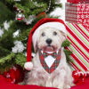 Picture of ADOGGYGO Christmas Dog Tuxedo Bandana, Red Plaid Dog Chritstmas Collar with Bowtie Adjustable Dog Christmas Costume for Small Dogs Pets (S, Christmas-2)