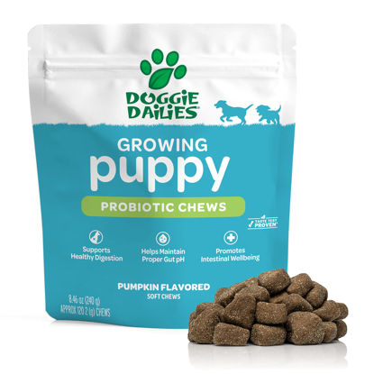 Picture of Doggie Dailies Puppy Probiotic | Probiotics for Puppies with Digestive Enzymes, Promotes Digestive Health, Supports Immune System & Overall Development | 120 Soft Chews