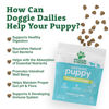 Picture of Doggie Dailies Puppy Probiotic | Probiotics for Puppies with Digestive Enzymes, Promotes Digestive Health, Supports Immune System & Overall Development | 120 Soft Chews