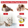Picture of Gigwi Interactive Cat Toys Animal Sound Bird/Mouse/Bee Interactive Squeaking Cat Toys Melody Chaser & Toys for Cats to Play Alone, Play and Squeak Kitten Toys for Boredom