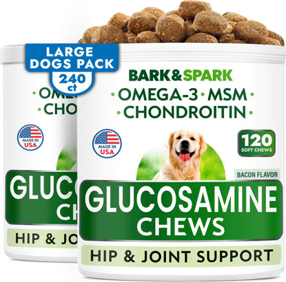 Picture of Glucosamine Chondroitin Dog Hip & Joint Supplement - Joint Pain Relief - Hip & Joint Chews for Dogs - Joint Support Large Breed - Senior Doggie Vitamin Pills Joint Health - (240 Treats - Bacon)