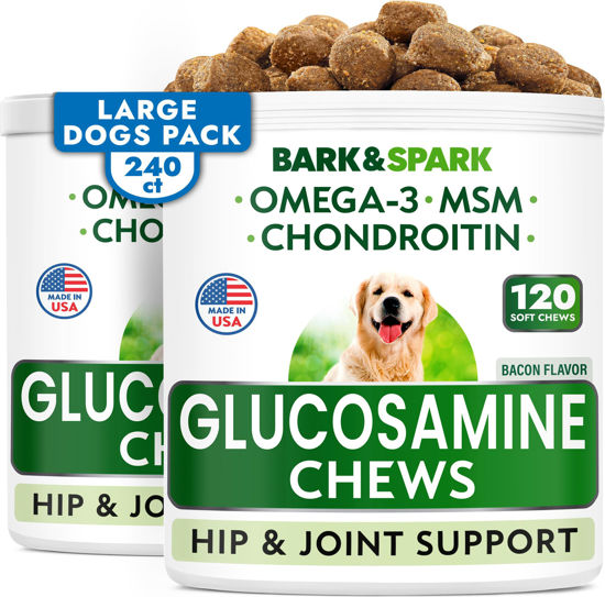 Picture of Glucosamine Chondroitin Dog Hip & Joint Supplement - Joint Pain Relief - Hip & Joint Chews for Dogs - Joint Support Large Breed - Senior Doggie Vitamin Pills Joint Health - (240 Treats - Bacon)