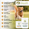 Picture of Wholistic Canine Complete with Organic Pumpkin for Dogs - 1 Lb - Dog Vitamins and Supplements with Pumpkin Powder for Digestion, Skin & Coat Health - Multivitamin for Dogs with Probiotics & Fiber