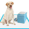 Picture of IMMCUTE Extra Large Dog Pee Pads 28"x30"-30 Count | X-Large Puppy Pee Training Pads Super Absorbent & Leak-Proof | Disposable Pet Piddle and Potty Pads for Puppies | Dogs | Doggie| Cats | Rabbits