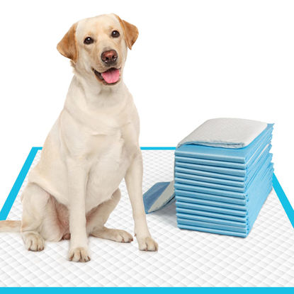 Picture of IMMCUTE Extra Large Dog Pee Pads 28"x30"-30 Count | X-Large Puppy Pee Training Pads Super Absorbent & Leak-Proof | Disposable Pet Piddle and Potty Pads for Puppies | Dogs | Doggie| Cats | Rabbits