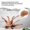 Picture of majoywoo Natural Driftwood for Aquarium Decor Fish Tank Decorations, Assorted Spider Wood Branch 4-8" 5 Pcs, Reptile Decor