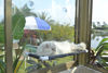 Picture of PEFUNY Cat Hammock for Window, Cat Bed Sunny Seat Safety and Space Saving Window Mounted Cat Perch (Black Premium Set)
