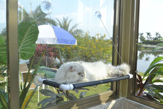 Picture of PEFUNY Cat Hammock for Window, Cat Bed Sunny Seat Safety and Space Saving Window Mounted Cat Perch (Black Premium Set)