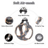 Picture of Mercano Soft Mesh Dog Harness and Leash Set, No-Chock Step-in Reflective Breathable Lightweight Easy Walk Escape Proof Vest Harnesses with Safety Buckle for Small Medium Dogs, Cats (Grey, XL)
