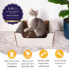 Picture of Hide & Scratch Heavy Duty Cardboard Cat Scratcher Box and Cat Bed with Refillable Double-Sided Cardboard Scratch Pad for Indoor Cats