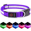 Picture of VIZPET LED Dog Collar, Light Up Dog Collar Adjustable USB Rechargeable Super Bright Safety Light Glowing Collars for Dogs (Purple, Large[18.89-23.62 inch/48-60cm])