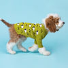 Picture of Fitwarm Funny Sheep Dog Sweater, Thermal Dog Winter Clothes for Small Dogs Boy Girl, Dog Holiday Clothes, Doggy Pullover Jumper, Pet Outfit, Black, Green, White, Large