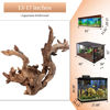 Picture of majoywoo Natural Large Driftwood for Aquarium Decor Reptile Decor 13-17" Long, Over 1.3 lbs