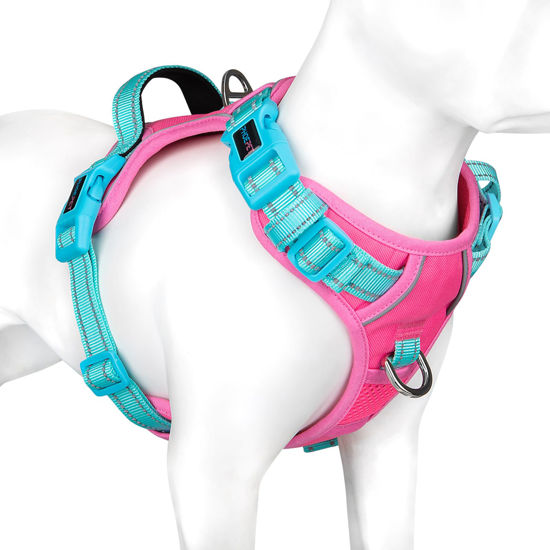 Picture of PHOEPET No Pull Dog Harness, Unique Colors Reflective Adjustable Dog Vest, with Soft Training Handle Metal Clips for Small Medium Large Dogs (Pink Base & Green Straps,S)
