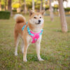 Picture of PHOEPET No Pull Dog Harness, Unique Colors Reflective Adjustable Dog Vest, with Soft Training Handle Metal Clips for Small Medium Large Dogs (Pink Base & Green Straps,S)