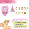 Picture of Yicostar Dog Birthday Decorations, Dog Birthday Hat with Numbers, Girl Dog Birthday Bandana Set for Large Medium Small Dogs, Dog Birthday Present, Pet Supplies (Pink)