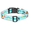 Picture of Mercano Adjustable Dog Collar - Special Design Patterns, Soft Nylon Comfortable Durable Pet Collar for Small Medium Large Dogs (L, Sail)