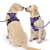 Picture of NESTROAD No Pull Dog Harness,Adjustable Oxford Dog Vest Harness with Leash,Reflective No-Choke Pet Harness with Easy Control Soft Handle for Large Dogs(Large,Purple)