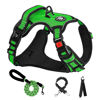 Picture of NESTROAD No Pull Dog Harness,Adjustable Oxford Dog Vest Harness with Leash,Reflective No-Choke Pet Harness with Easy Control Soft Handle for Small Dogs(Small,FluorescentGreen)