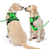 Picture of NESTROAD No Pull Dog Harness,Adjustable Oxford Dog Vest Harness with Leash,Reflective No-Choke Pet Harness with Easy Control Soft Handle for Small Dogs(Small,FluorescentGreen)