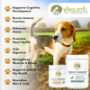 Picture of Wholistic Canine Complete with Organic Pumpkin for Dogs - 2 Lb - Dog Vitamins and Supplements with Pumpkin Powder for Digestion, Skin & Coat Health - Multivitamin for Dogs with Probiotics & Fiber