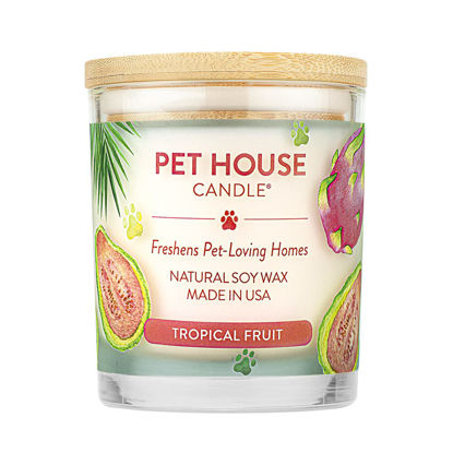 Picture of One Fur All, Pet House Candle-100% Plant-Based Wax Candle-Pet Odor Eliminator for Home-Non-Toxic and Eco-Friendly Air Freshening Scented Candles-Odor Eliminating Candle-(Pack of 1, Tropical Fruit)