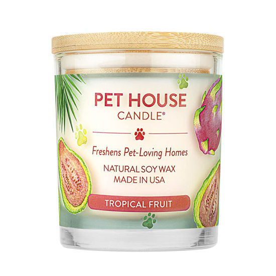 Picture of One Fur All, Pet House Candle-100% Plant-Based Wax Candle-Pet Odor Eliminator for Home-Non-Toxic and Eco-Friendly Air Freshening Scented Candles-Odor Eliminating Candle-(Pack of 1, Tropical Fruit)