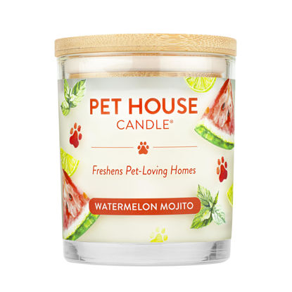 Picture of One Fur All, Pet House Candle-100% Plant-Based Wax Candle-Pet Odor Eliminator for Home-Non-Toxic and Eco-Friendly Air Freshening Scented Candles-Odor Eliminating Candle-(Pack of 1, Watermelon Mojito)