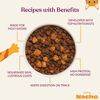 Picture of Made by Nacho Premium Dry Cat Food High Protein Kibble with Freeze Dried Pieces for Enhanced Nutrition and Flavor 10lb Bag (Sustainably-Caught Salmon, Whitefish & Pumpkin), Limited Ingredients
