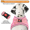 Picture of PWOD Dog Harness with Leash Set, No-Pull Step-in Reflective Pet Harness with 1 Leash Clips, Adjustable Soft Padded Easy Walk Dog Vest for Small Medium Large Dogs, Cats(Light Pink, XLarge)