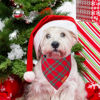 Picture of ADOGGYGO Christmas Dog Bandanas 2 Pack, Red Green Plaid Dog Christmas Scarf Bib, Multiple Sizes Offered, Christmas Bandanas for Small Dogs Pets (Small, Christmas)
