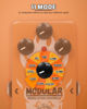 Picture of STRICH MODULAR 11-Mode Modulation Guitar Effect Pedal with Chorus, Phaser, Tremolo, Flanger, Vibrato, Auto Filter for Electric Guitar, True Bypass, Orange