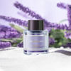 Picture of Ceeniu Car Air Fresheners - F26/F39 Dedicated Perfume Refill - 45ml - Can be Used for 2~6 Months - Made with Natural Plant Extracts - French Imported Fragrance - 17 Varied Scents Available