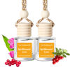 Picture of Burst Bird Car Air Freshener Hanging,Cute Air Diffuser for Car, Long Lasting Car Air Fresheners, Car Fresheners for Women, Made in USA (2 Pack)