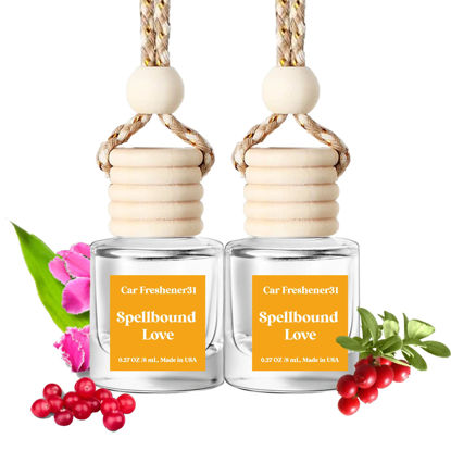 Picture of Burst Bird Car Air Freshener Hanging,Cute Air Diffuser for Car, Long Lasting Car Air Fresheners, Car Fresheners for Women, Made in USA (2 Pack)
