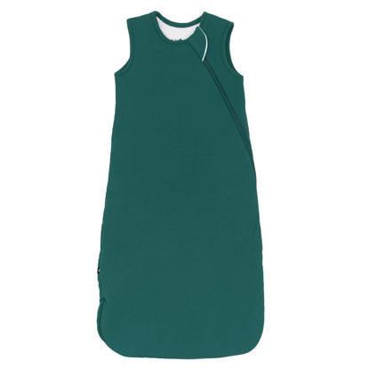 Picture of KYTE BABY Unisex Rayon Made From Bamboo Sleep Bag for Babies and Toddlers, 2.5 Tog (Medium, Emerald)