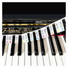 Picture of Colorful Removable Piano Keyboard Note Labels, Silicone Piano Notes Stickers Guide for Beginner, Reusable 88 Key Full Size Piano Key Music Notes Letter Label (colourful)
