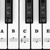 Picture of Piano Stickers for Keys, Eison Full Set Piano Keyboard Stickers for 88/61/54/49/37 Keys Removable with Numbers, Leaves No Residue, Color Black,Great Children's Gift