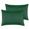 Picture of NTBAY Zippered Silk Satin Toddler Pillowcases - 2 Pack Hidden Zipper 13x18 Pillowcases - Luxury and Silky Baby Travel Pillow Covers, Dark Green