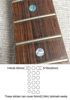 Picture of Inlay Sticker Fret Markers for Guitars & Bass - Custom Dots - Abalone-Mix