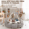 Picture of 5-in-1 Convertible Baby Play Gym with 6 Toys, Tummy Time Mat for Sensory Development, Baby Activity Center from Newborn to Toddler, Ball Pit, Cat & Dog Bed, Soft Plush Pet Bed, No Ball Included