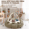 Picture of 5-in-1 Convertible Baby Play Gym with 6 Toys, Tummy Time Mat for Sensory Development, Baby Activity Center from Newborn to Toddler, Ball Pit, Cat & Dog Bed, Soft Plush Pet Bed, No Ball Included Brown
