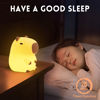 Picture of Okayera Cute Capybara Night Light, Silicone LED Animal Nursery Lamp with Portable USB Rechargeable Timer Dimmable, Perfect Birthday Christmas Easter Gifts for Kids, Best Home Bedroom Decor
