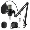 Picture of ALABS XLR Condenser Microphone, Professional Cardioid Recording Microphone Kit with 25mm Diaphragm for Streaming, Podcasting, Singing, Vocal, Studio Mic with Boom Arm, Pop Filter (AC22)