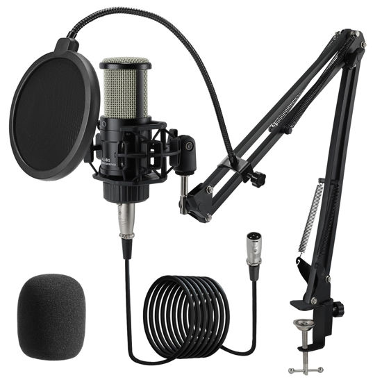 Picture of ALABS XLR Condenser Microphone, Professional Cardioid Recording Microphone Kit with 25mm Diaphragm for Streaming, Podcasting, Singing, Vocal, Studio Mic with Boom Arm, Pop Filter (AC22)