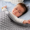 Picture of Pro Goleem Grey Baby Soft Minky Dot Blanket with Silky Satin Backing Baby Gifts for Girls and Boys (Gray, 30’’ x 40’’)